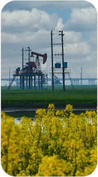 Oil & Gas